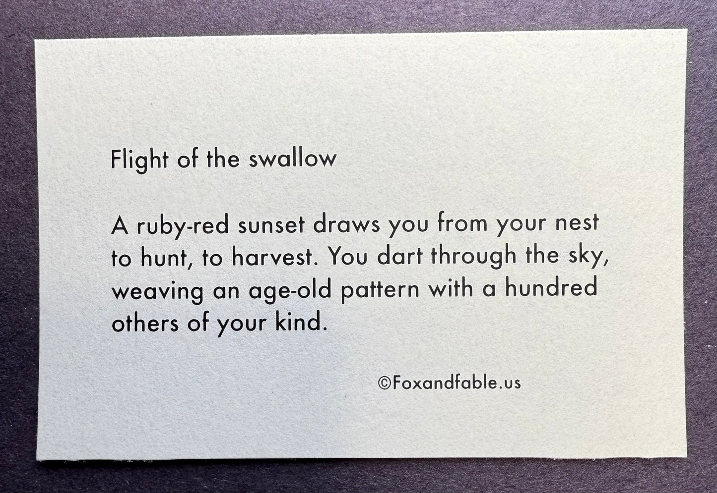 Flight of the swallow