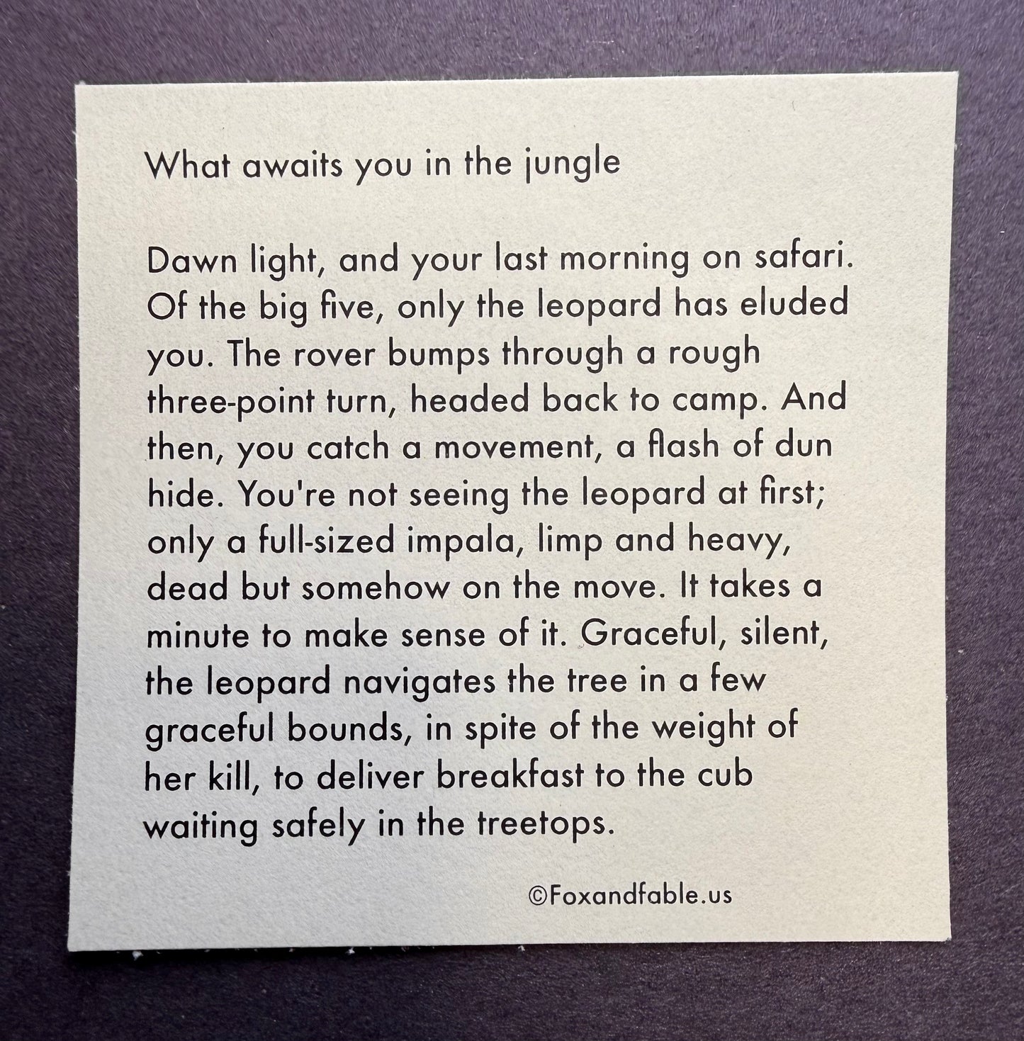 What awaits you in the jungle