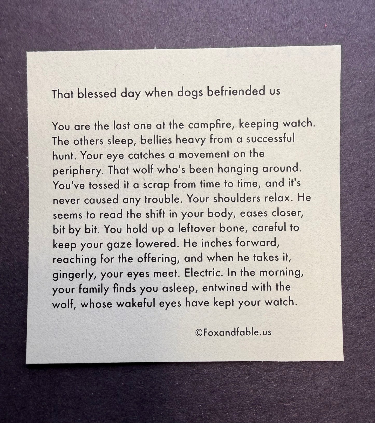 That blessed day when dogs befriended us